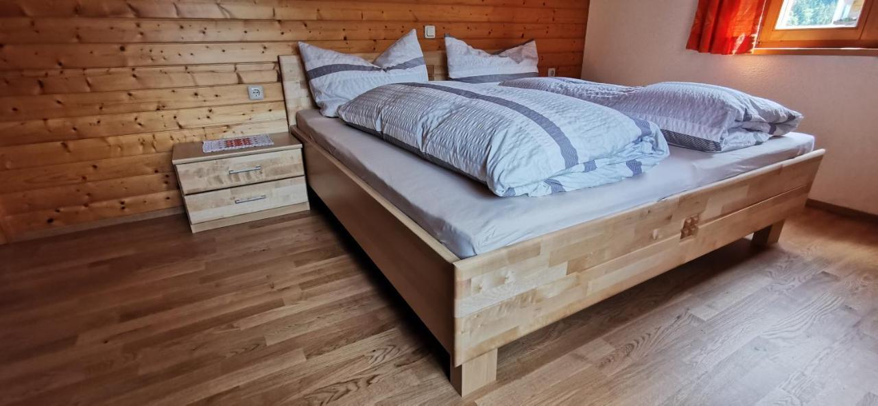 Urlaub Bei Moses Apartment Schoppernau Ngoại thất bức ảnh