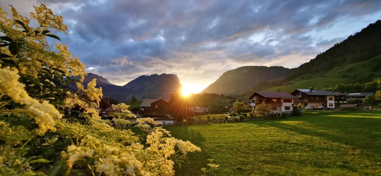 Urlaub Bei Moses Apartment Schoppernau Ngoại thất bức ảnh