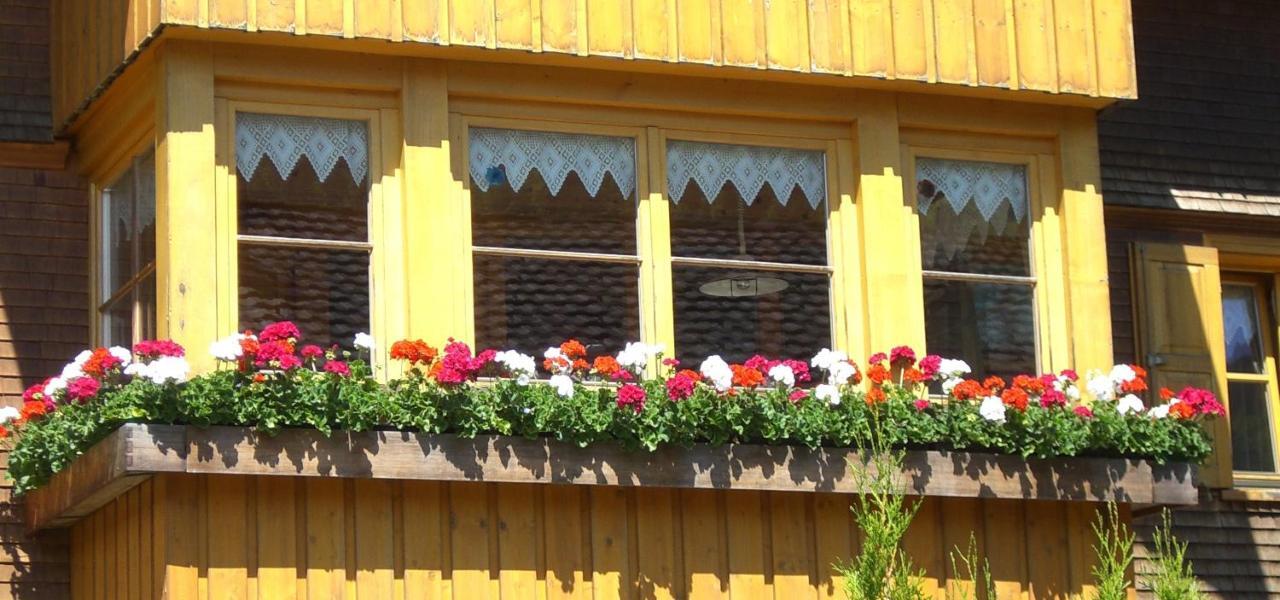 Urlaub Bei Moses Apartment Schoppernau Ngoại thất bức ảnh